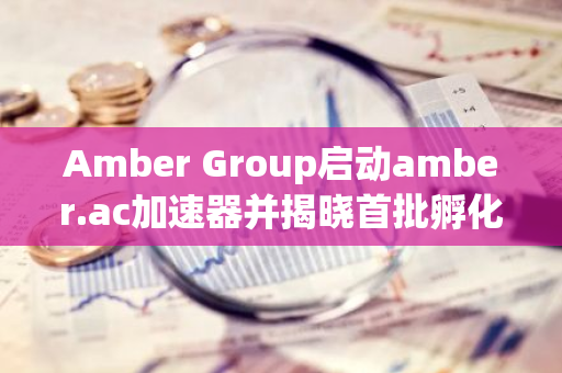 Amber Group启动amber.ac加速器并揭晓首批孵化企业，港科大学副校长出席官宣仪式