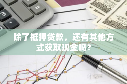 除了抵押贷款，还有其他方式获取现金吗？