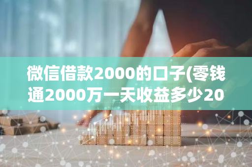 微信借款2000的口子(零钱通2000万一天收益多少2023年)