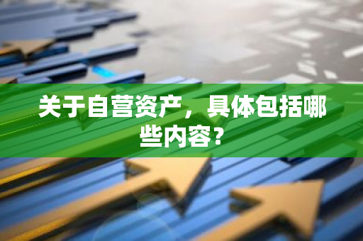 关于自营资产，具体包括哪些内容？