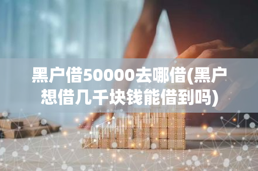 黑户借50000去哪借(黑户想借几千块钱能借到吗)