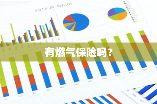 有燃气保险吗？