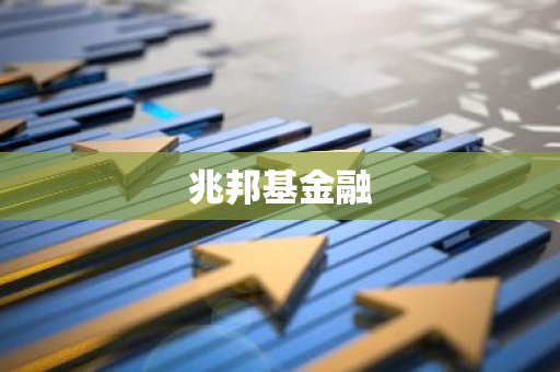 兆邦基金融