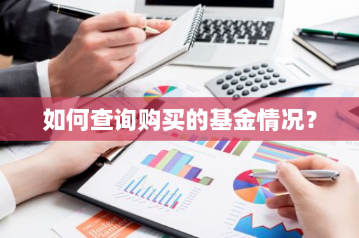 如何查询购买的基金情况？
