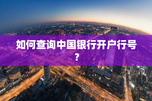 如何查询中国银行开户行号？