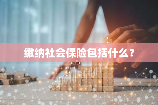 缴纳社会保险包括什么？
