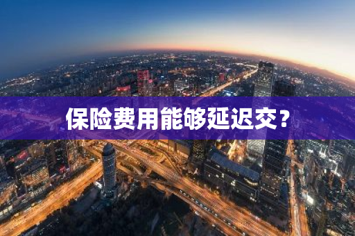 保险费用能够延迟交？