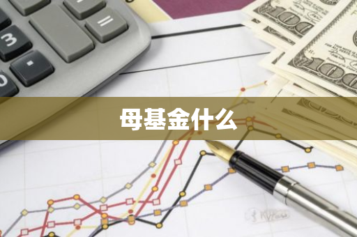 母基金什么