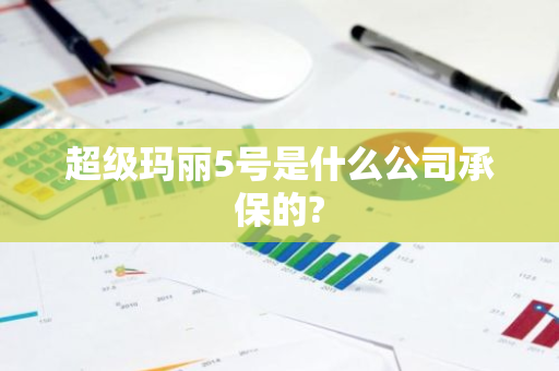 超级玛丽5号是什么公司承保的?