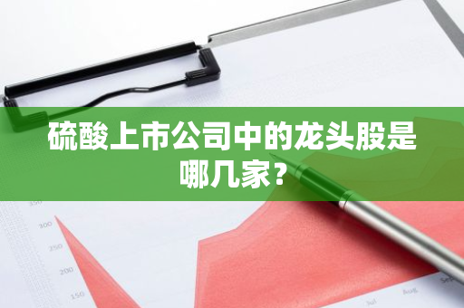 硫酸上市公司中的龙头股是哪几家？