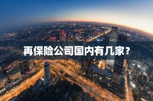 再保险公司国内有几家？