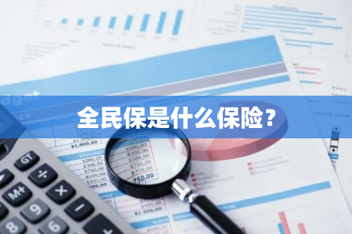 全民保是什么保险？