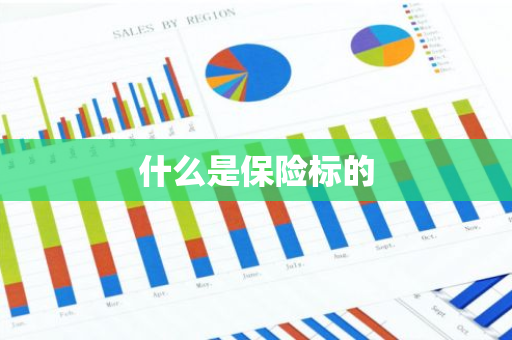 什么是保险标的