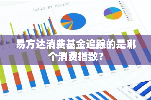 易方达消费基金追踪的是哪个消费指数？