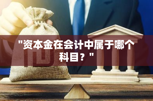 "资本金在会计中属于哪个科目？"