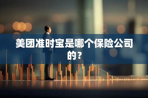 美团准时宝是哪个保险公司的？