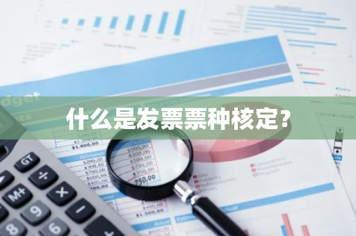 什么是发票票种核定？