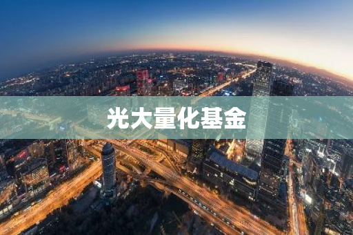 光大量化基金