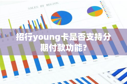 招行young卡是否支持分期付款功能？