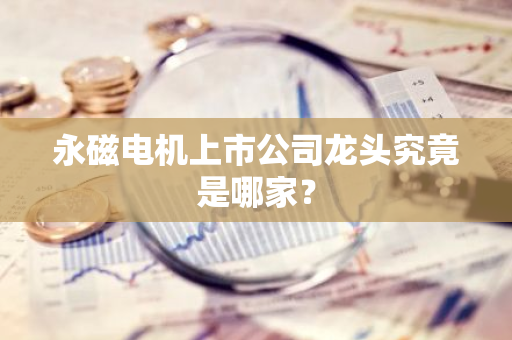 永磁电机上市公司龙头究竟是哪家？