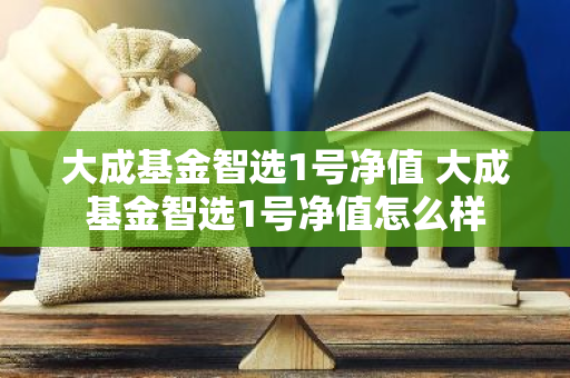 大成基金智选1号净值 大成基金智选1号净值怎么样