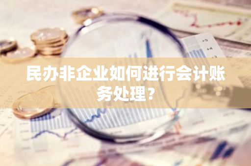 民办非企业如何进行会计账务处理？