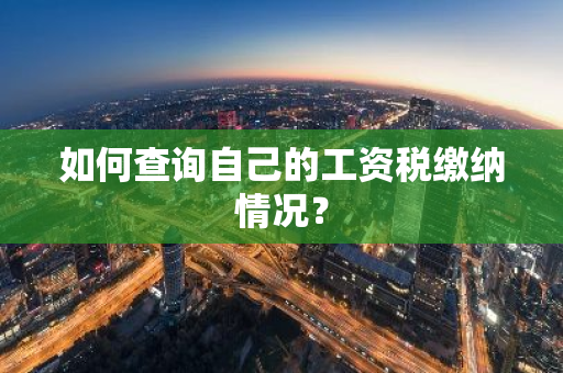 如何查询自己的工资税缴纳情况？