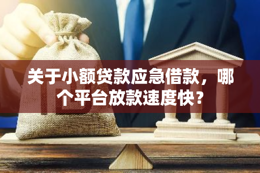 关于小额贷款应急借款，哪个平台放款速度快？