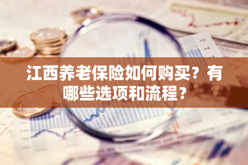 江西养老保险如何购买？有哪些选项和流程？