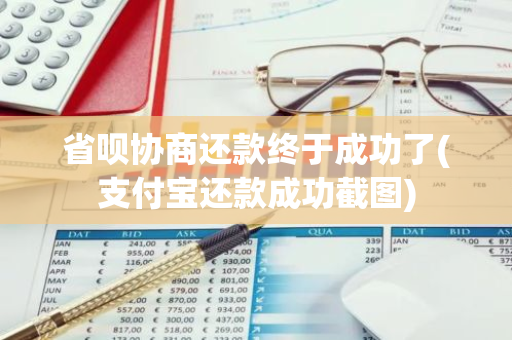 省呗协商还款终于成功了(支付宝还款成功截图)