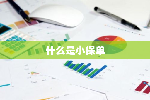 什么是小保单