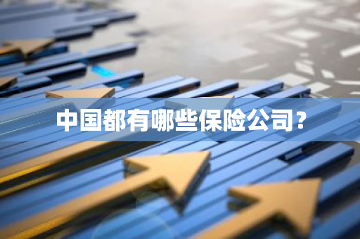 中国都有哪些保险公司？