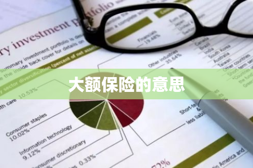 大额保险的意思