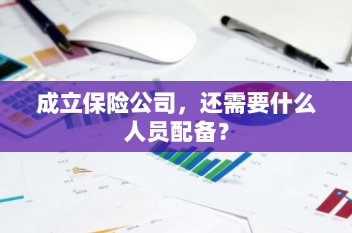 成立保险公司，还需要什么人员配备？