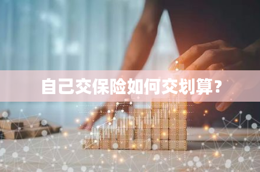自己交保险如何交划算？