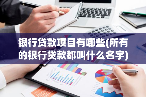 银行贷款项目有哪些(所有的银行贷款都叫什么名字)