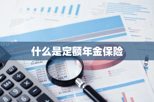 什么是定额年金保险