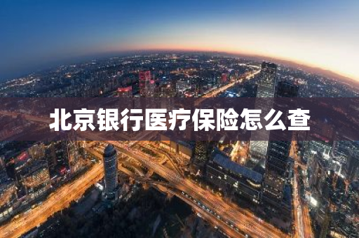 北京银行医疗保险怎么查