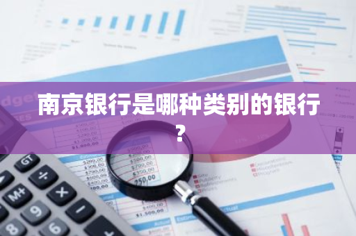 南京银行是哪种类别的银行？
