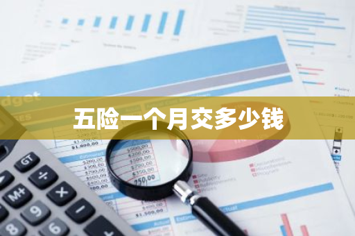 五险一个月交多少钱