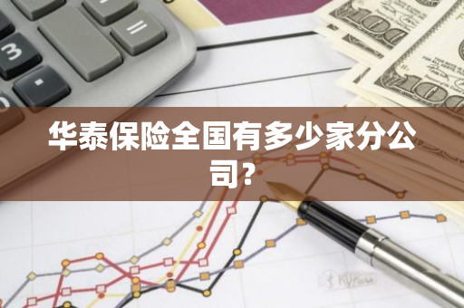 华泰保险全国有多少家分公司？
