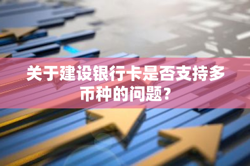 关于建设银行卡是否支持多币种的问题？