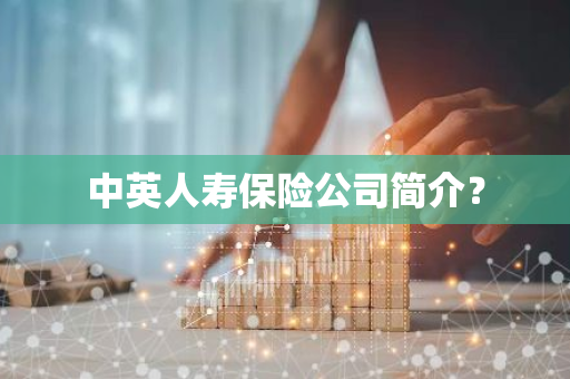 中英人寿保险公司简介？