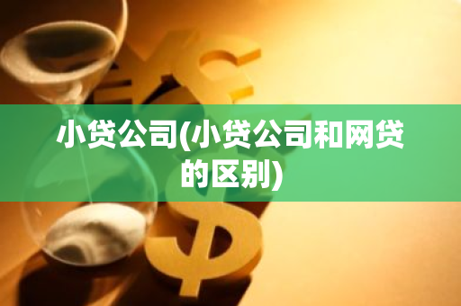 小贷公司(小贷公司和网贷的区别)