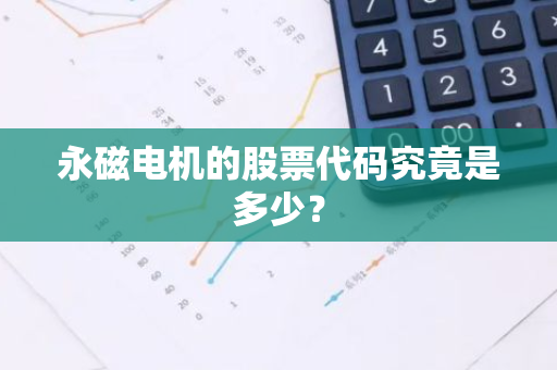 永磁电机的股票代码究竟是多少？