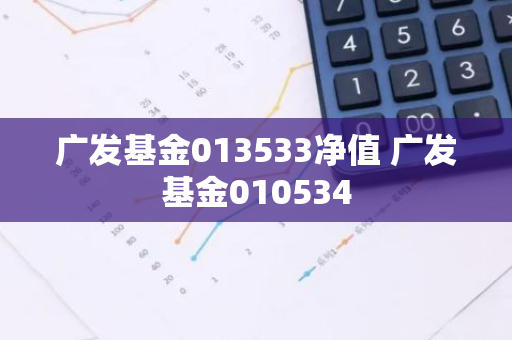 广发基金013533净值 广发基金010534