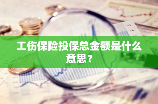 工伤保险投保总金额是什么意思？
