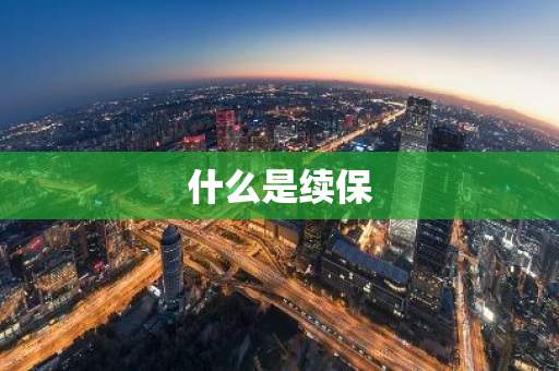 什么是续保