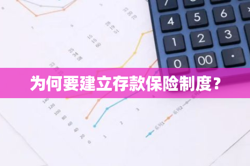 为何要建立存款保险制度？