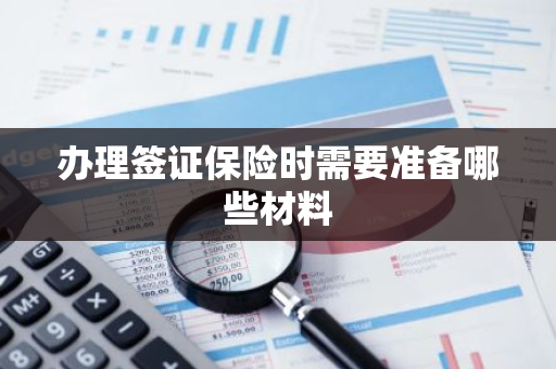 办理签证保险时需要准备哪些材料